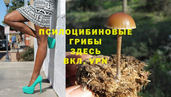 спайс Алексин
