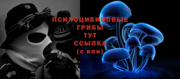 спайс Алексин