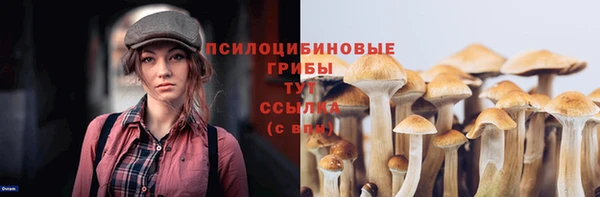 2c-b Рославль