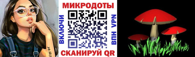 Галлюциногенные грибы Psilocybe  наркота  Камешково 